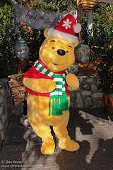 Winnie the Pooh