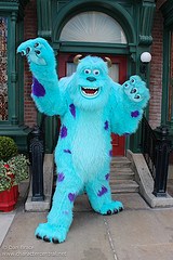 Sulley