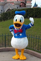 Donald Duck