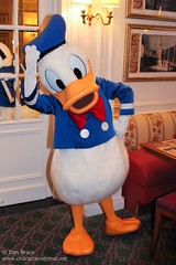 Donald Duck