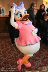 Daisy Duck