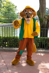 Brer Fox (Random)