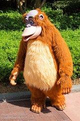 King Louie (Random)