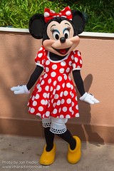 Minnie Mouse (Random)