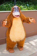 King Louie (Random)