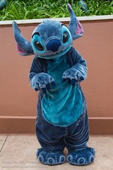 Stitch (Random)