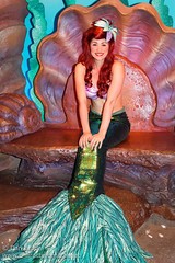 Ariel (Ariel's Grotto)