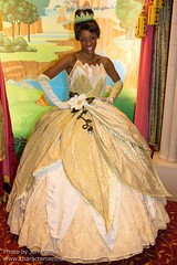 Princess Tiana (Random)