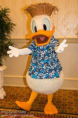 Donald Duck