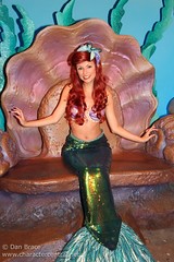 Ariel