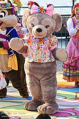 ShellieMay, The Disney Bear