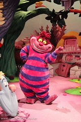 Cheshire Cat