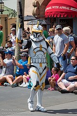 Commander Cody