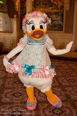 Daisy Duck