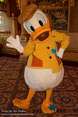 Donald Duck