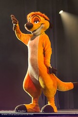 Timon