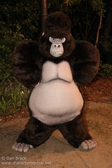 Kerchak